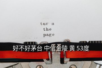 好不好茅台 中信金陵 黄 53度