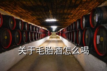 关于毛胎酒怎么喝