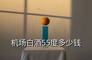 机场白酒55度多少钱