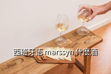 西班牙语 marssyn 什麽酒