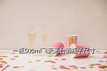 一瓶500ml飞天茅台酒瓶子尺寸