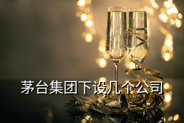 茅台集团下设几个公司