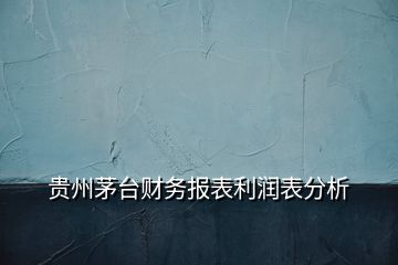 贵州茅台财务报表利润表分析