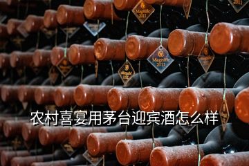 农村喜宴用茅台迎宾酒怎么样