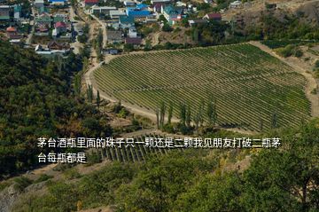 茅台酒瓶里面的珠子只一颗还是二颗我见朋友打破二瓶茅台每瓶都是