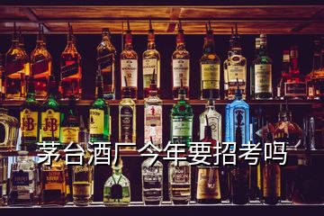 茅台酒厂今年要招考吗