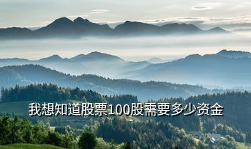 我想知道股票100股需要多少资金