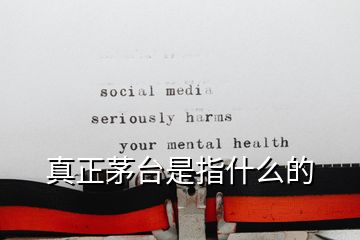 真正茅台是指什么的