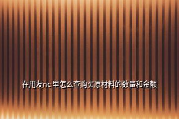 在用友nc 里怎么查购买原材料的数量和金额