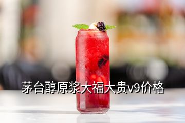 茅台醇原浆大福大贵v9价格