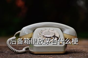 后备箱里放茅台什么梗