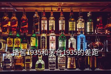 播窖1935和茅台1935的差距