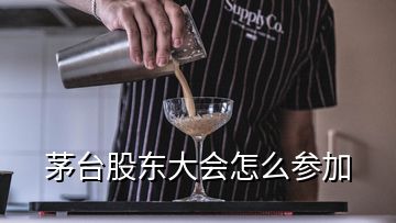 茅台股东大会怎么参加