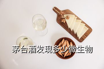 茅台酒发现多少微生物