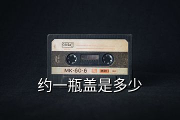 约一瓶盖是多少