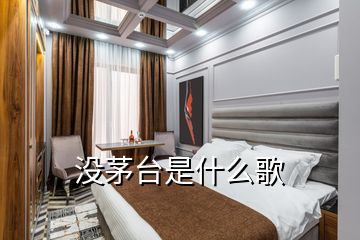 没茅台是什么歌