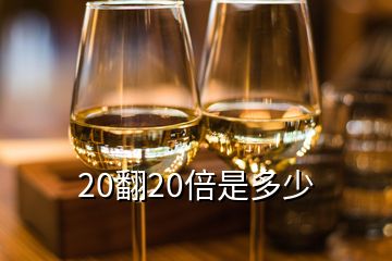 20翻20倍是多少