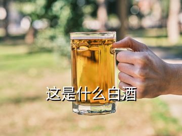 这是什么白酒