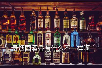 贵烟国酒香有什么不一样啊