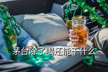 茅台除了喝还能干什么