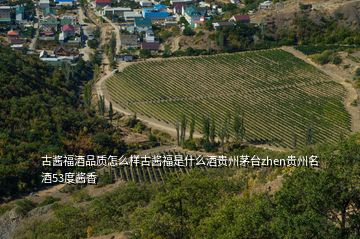 古酱福酒品质怎么样古酱福是什么酒贵州茅台zhen贵州名酒53度酱香