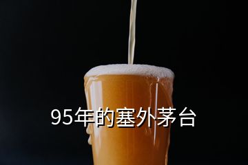 95年的塞外茅台