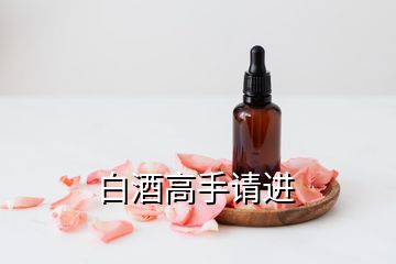 白酒高手请进