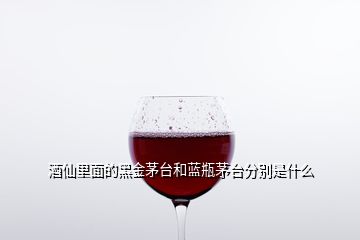 酒仙里面的黑金茅台和蓝瓶茅台分别是什么