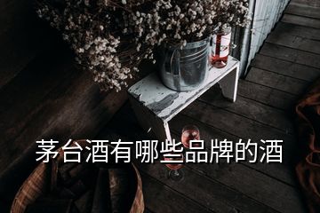 茅台酒有哪些品牌的酒