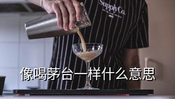 像喝茅台一样什么意思