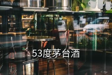 53度茅台酒