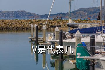 V是代表几