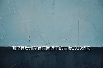 哪里有贵州茅台集团旗下的白金1919酒卖