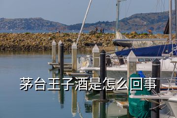 茅台王子酒是怎么回事