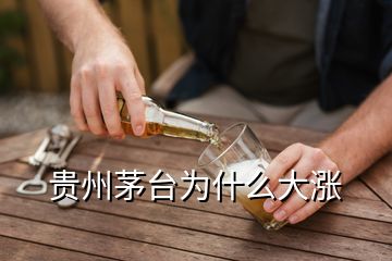 贵州茅台为什么大涨