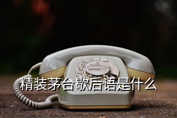 精装茅台歇后语是什么