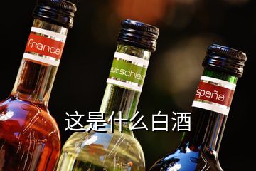 这是什么白酒