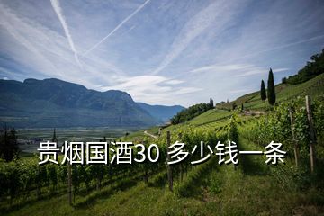 贵烟国酒30 多少钱一条