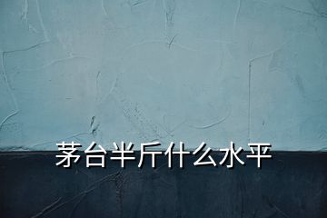 茅台半斤什么水平