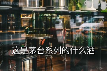 这是茅台系列的什么酒