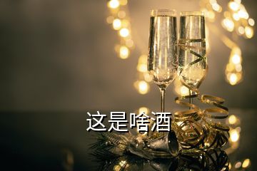 这是啥酒