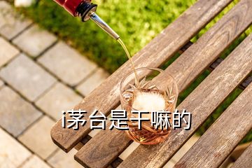 i茅台是干嘛的