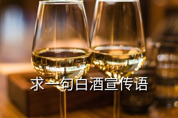 求一句白酒宣传语