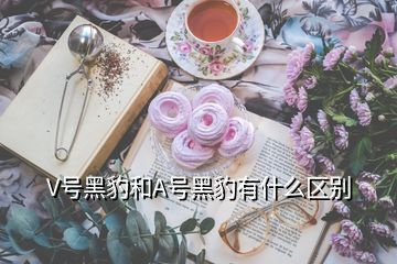 V号黑豹和A号黑豹有什么区别