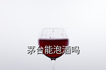 茅台能泡酒吗