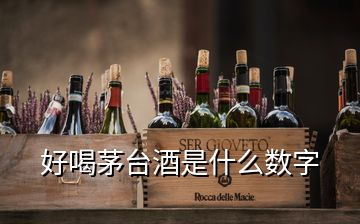 好喝茅台酒是什么数字