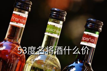 53度名将酒什么价