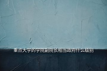 重点大学的学院副院长相当政府什么级别