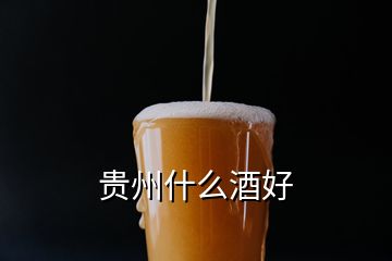 贵州什么酒好