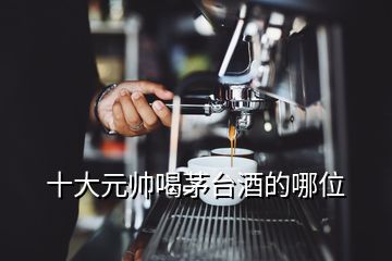 十大元帅喝茅台酒的哪位